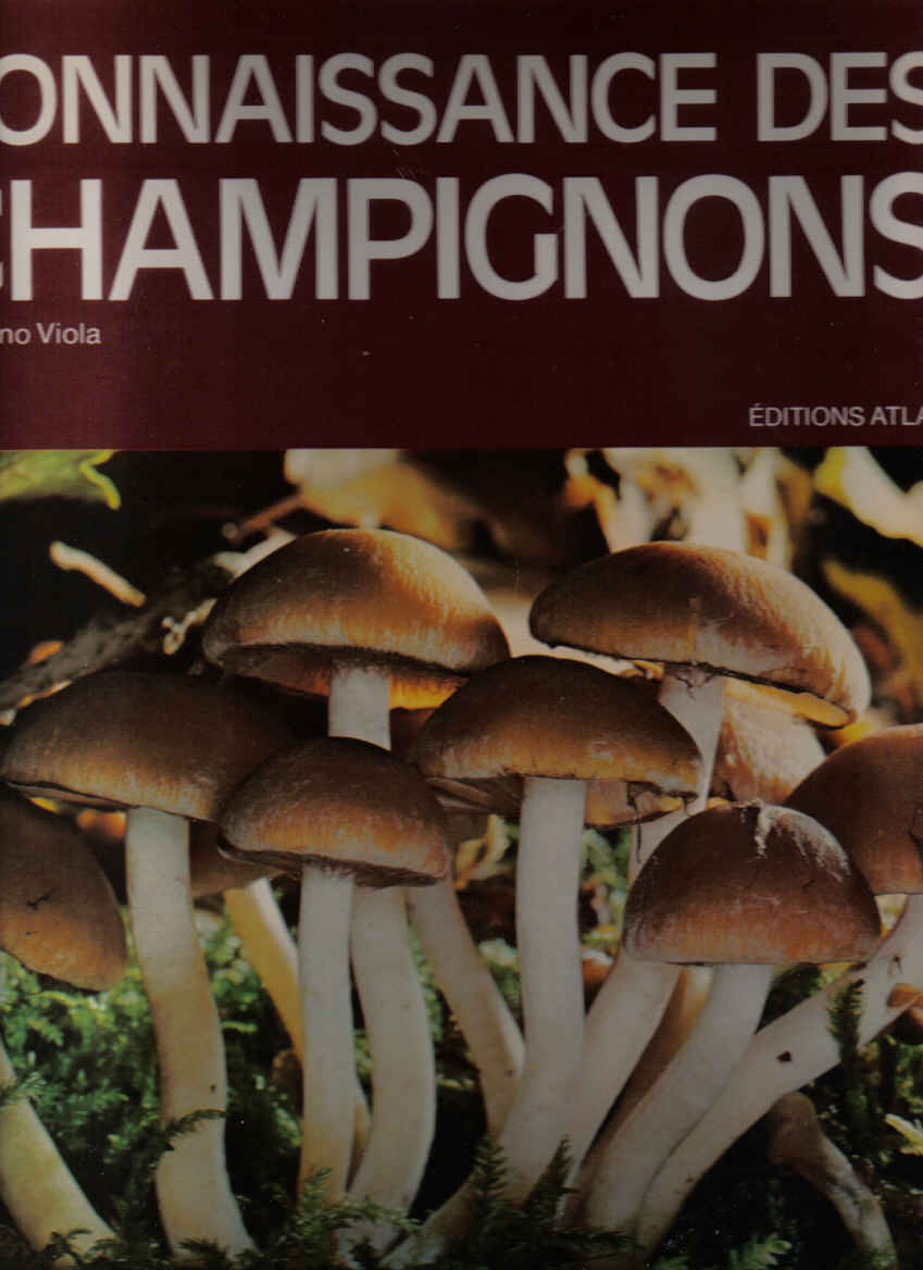Connaissance_des_champignons
